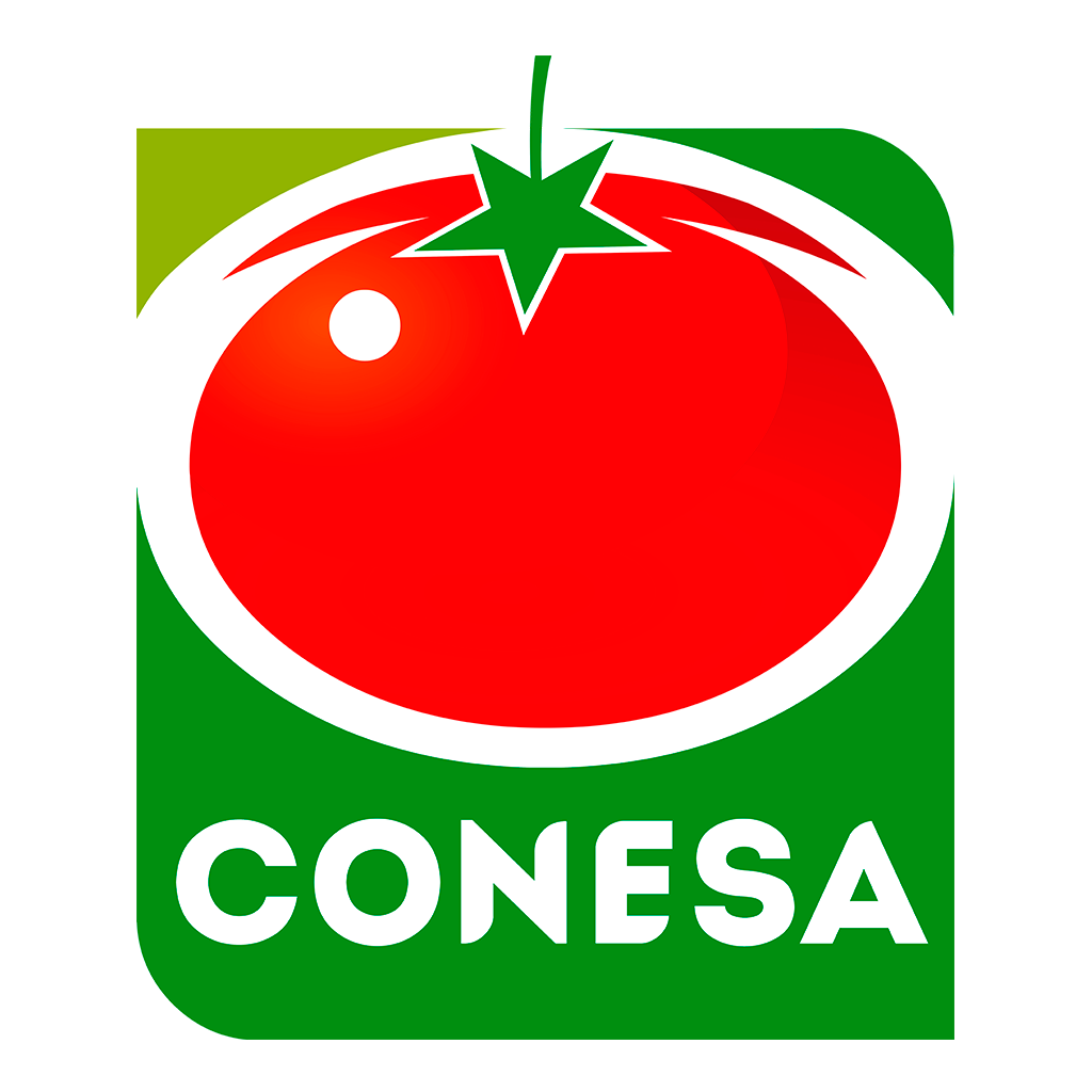 Conesa